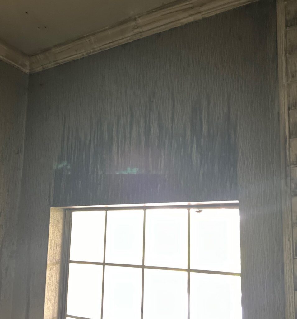 020a265e-d9d4-449f-a2f5-e7a723a3cd4e