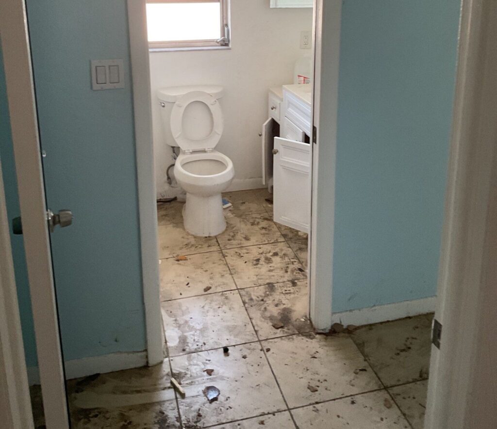 05aee908-33b2-41f8-8c7e-60186bf017fb