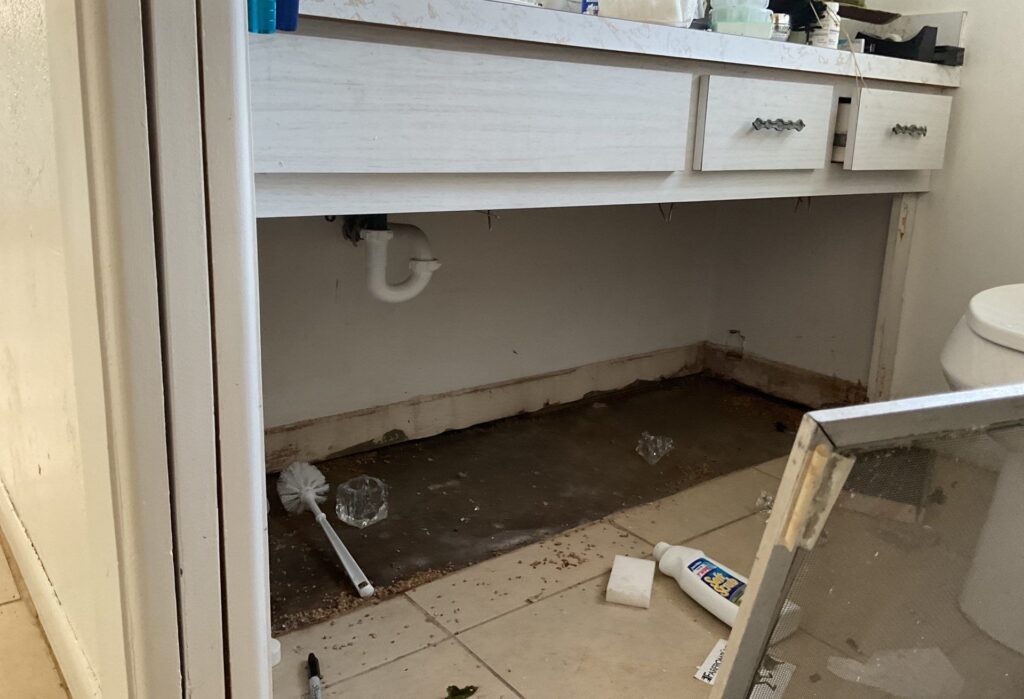 563b8b02-d2e8-4339-9542-a85627890bdc