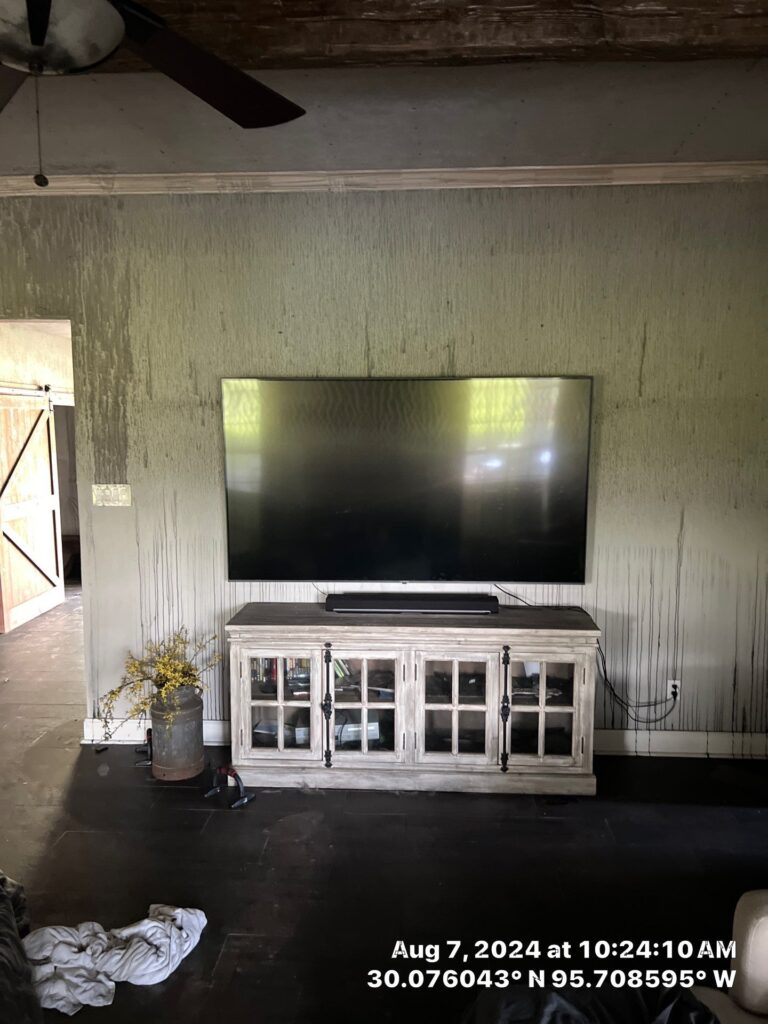 978e70c4-a071-4482-8ca5-0a7ddc7e2007