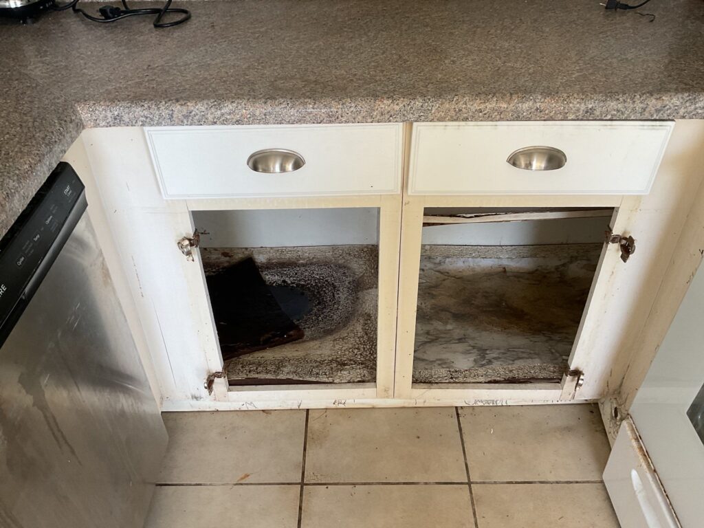 9ae44a4d-d618-4e41-93e0-633426c8326e