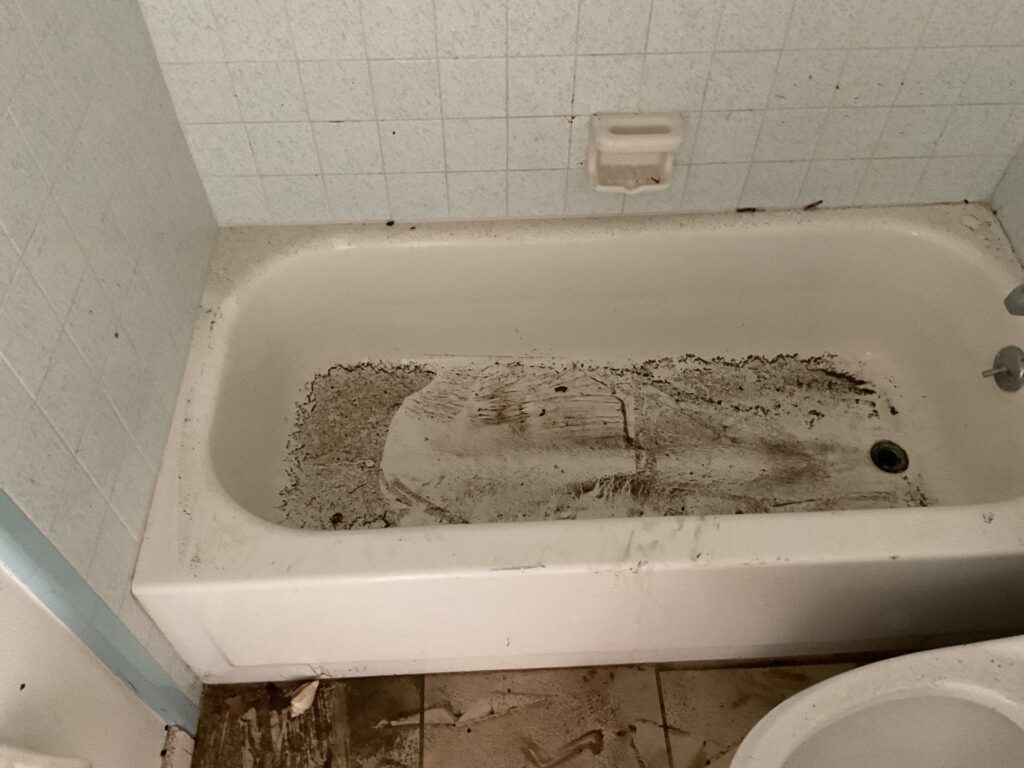 aa0f5d72-7356-485d-b0b2-a88005b1ff88