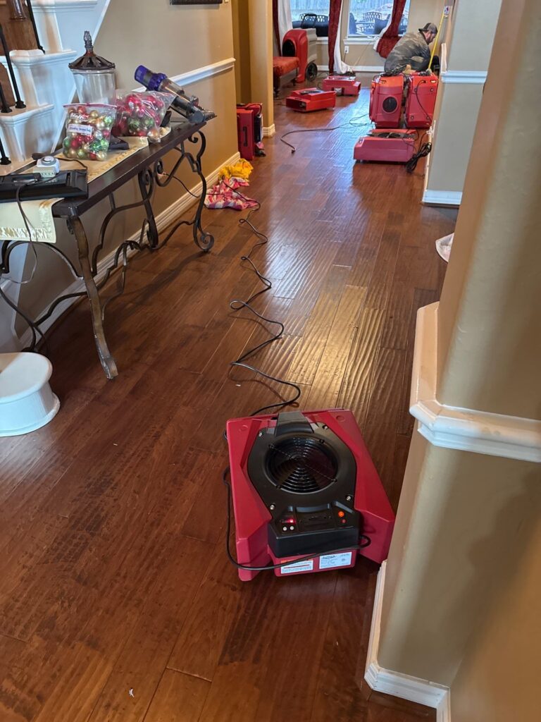 c278786a-d657-4d4e-8220-7517d90ecfa3 (3)